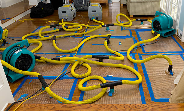 Professional Water Damage Repair technician working in Mount Airy, GA